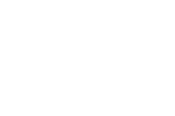 42B Consulting