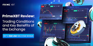 PrimeXBT vs Pocket Option A Comprehensive Comparison PrimeXBT vs Pocket Option A Comprehensive Comparison